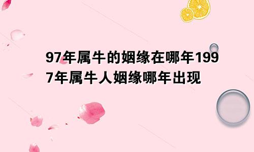 97年属牛的姻缘在哪年1997年属牛人姻缘哪年出现