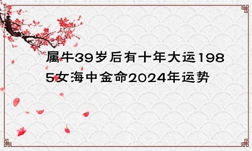 属牛39岁后有十年大运1985女海中金命2024年运势