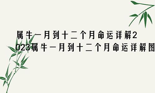 属牛一月到十二个月命运详解2023属牛一月到十二个月命运详解图片