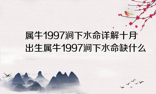 属牛1997涧下水命详解十月出生属牛1997涧下水命缺什么