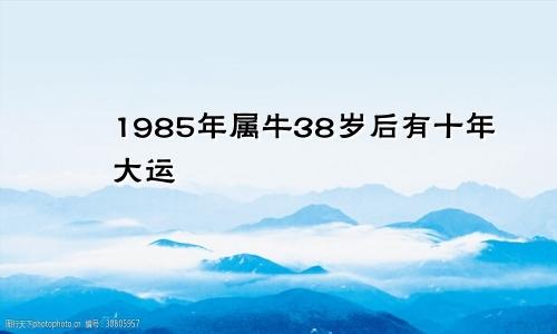 1985年属牛38岁后有十年大运