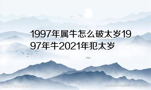 1997年属牛怎么破太岁1997年牛2021年犯太岁