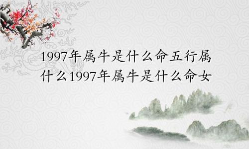 1997年属牛是什么命五行属什么1997年属牛是什么命女