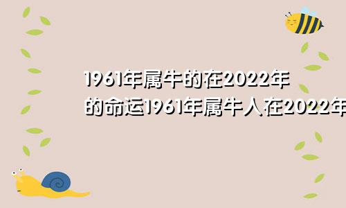 1961年属牛的在2022年的命运1961年属牛人在2022年运势