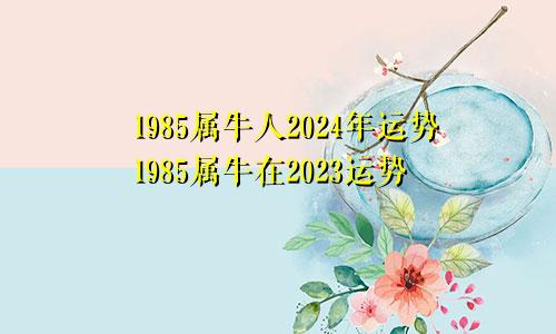 1985属牛人2024年运势1985属牛在2023运势