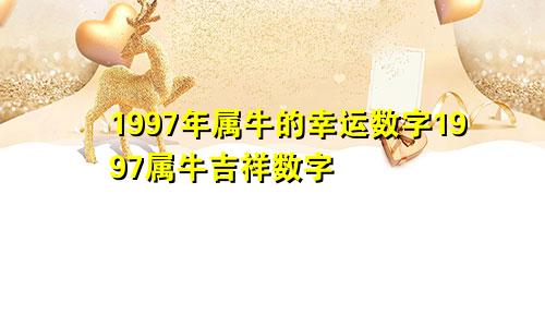 1997年属牛的幸运数字1997属牛吉祥数字