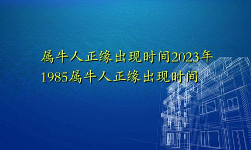 属牛人正缘出现时间2023年1985属牛人正缘出现时间