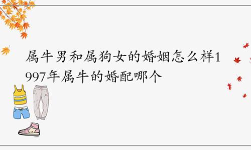 属牛男和属狗女的婚姻怎么样1997年属牛的婚配哪个