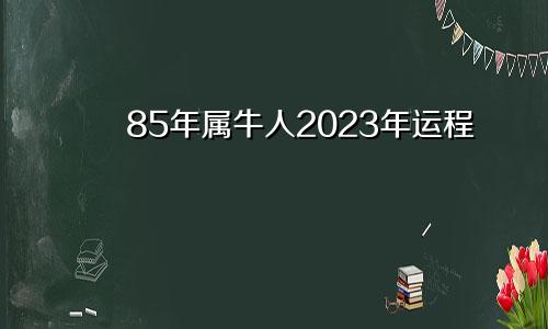 85年属牛人2023年运程