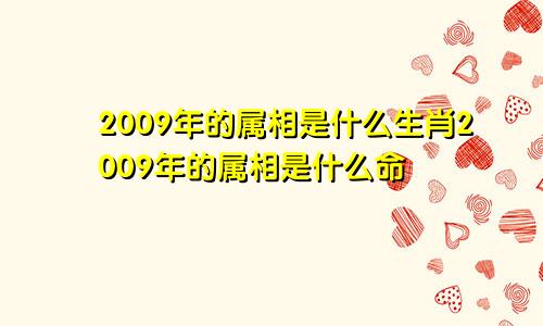 2009年的属相是什么生肖2009年的属相是什么命