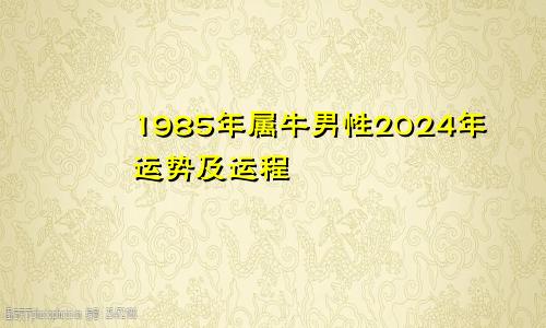 1985年属牛男性2024年运势及运程