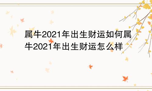 属牛2021年出生财运如何属牛2021年出生财运怎么样