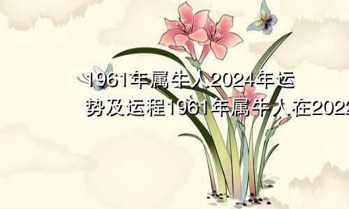 1961年属牛人2024年运势及运程1961年属牛人在2022年运势