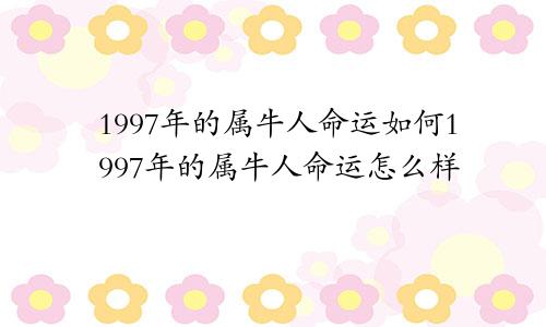 1997年的属牛人命运如何1997年的属牛人命运怎么样