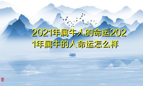 2021年属牛人的命运2021年属牛的人命运怎么样