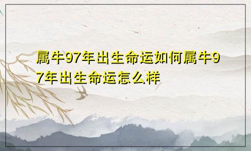 属牛97年出生命运如何属牛97年出生命运怎么样