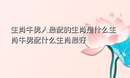 生肖牛男人最配的生肖是什么生肖牛男配什么生肖最好