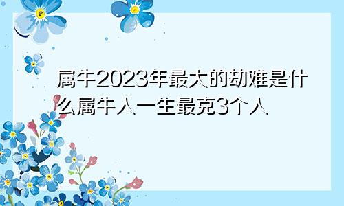 属牛2023年最大的劫难是什么属牛人一生最克3个人