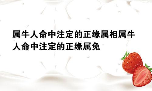 属牛人命中注定的正缘属相属牛人命中注定的正缘属兔