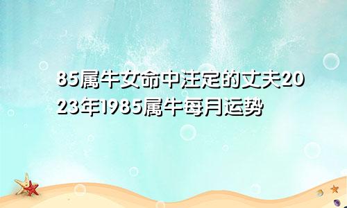 85属牛女命中注定的丈夫2023年1985属牛每月运势