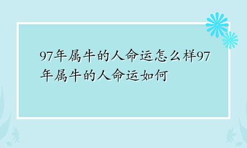 97年属牛的人命运怎么样97年属牛的人命运如何