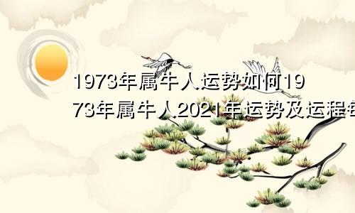 1973年属牛人运势如何1973年属牛人2021年运势及运程每月运程