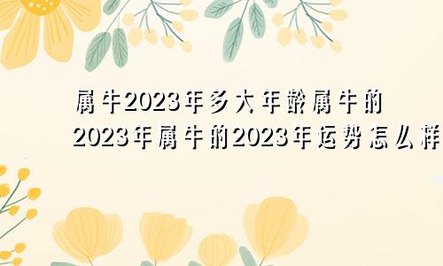 属牛2023年多大年龄属牛的2023年属牛的2023年运势怎么样