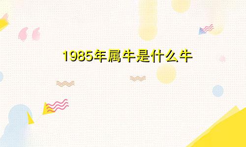 1985年属牛是什么牛