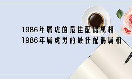 1986年属虎的最佳配偶属相1986年属虎男的最佳配偶属相