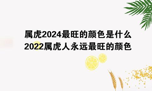 属虎2024最旺的颜色是什么2022属虎人永远最旺的颜色