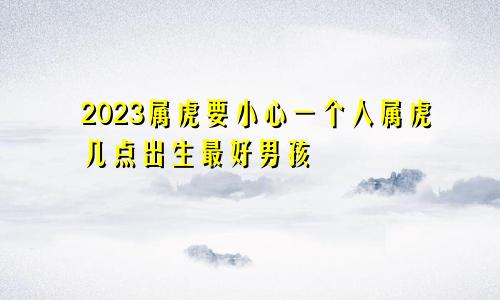 2023属虎要小心一个人属虎几点出生最好男孩