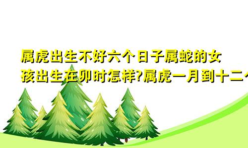 属虎出生不好六个日子属蛇的女孩出生在卯时怎样?属虎一月到十二个月命运详解