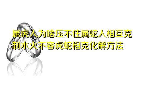 属虎人为啥压不住属蛇人相互克制水火不容虎蛇相克化解方法