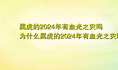 属虎的2024年有血光之灾吗为什么属虎的2024年有血光之灾吗