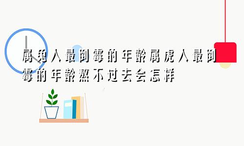 属兔人最倒霉的年龄属虎人最倒霉的年龄熬不过去会怎样