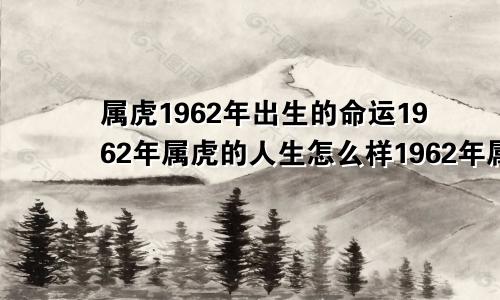 属虎1962年出生的命运1962年属虎的人生怎么样1962年属虎的人