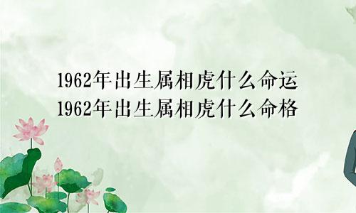 1962年出生属相虎什么命运1962年出生属相虎什么命格