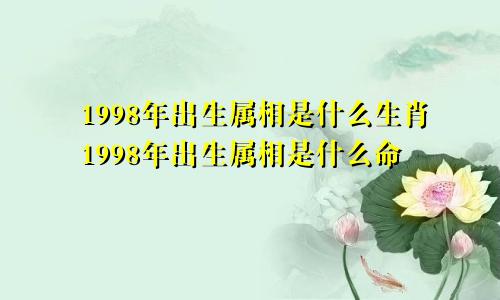 1998年出生属相是什么生肖1998年出生属相是什么命