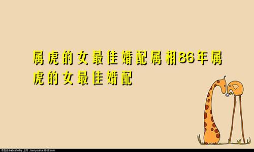 属虎的女最佳婚配属相86年属虎的女最佳婚配