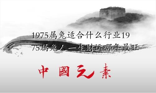 1975属兔适合什么行业1975属兔人一生财运哪年最旺