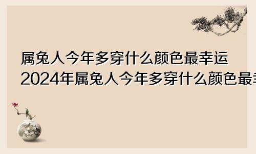 属兔人今年多穿什么颜色最幸运2024年属兔人今年多穿什么颜色最幸运2024年份