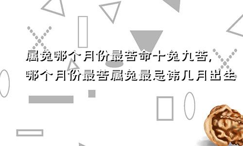 属兔哪个月份最苦命十兔九苦,哪个月份最苦属兔最忌讳几月出生