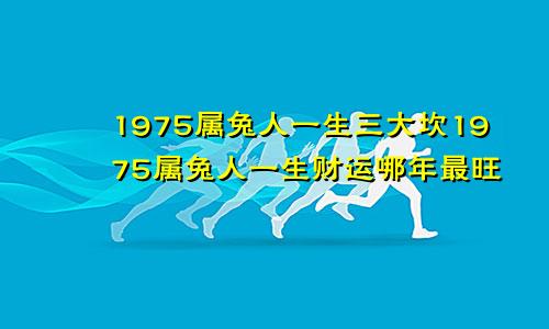 1975属兔人一生三大坎1975属兔人一生财运哪年最旺