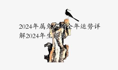 2024年属兔人的全年运势详解2024年生肖兔