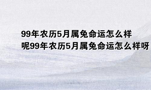 99年农历5月属兔命运怎么样呢99年农历5月属兔命运怎么样呀