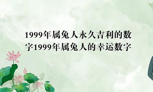 1999年属兔人永久吉利的数字1999年属兔人的幸运数字