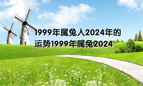 1999年属兔人2024年的运势1999年属兔2024