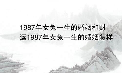 1987年女兔一生的婚姻和财运1987年女兔一生的婚姻怎样