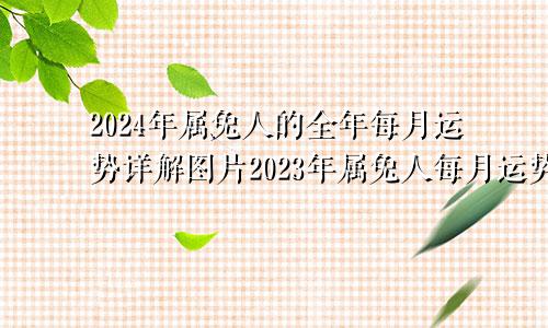 2024年属兔人的全年每月运势详解图片2023年属兔人每月运势