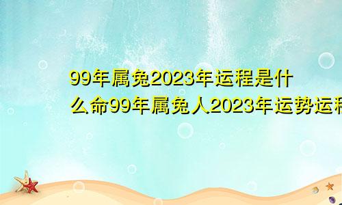 99年属兔2023年运程是什么命99年属兔人2023年运势运程